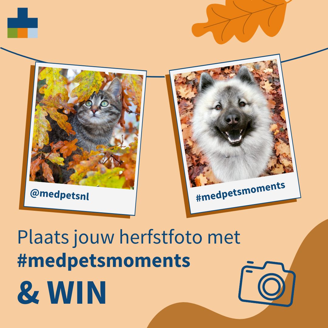 hashtagactie herfst